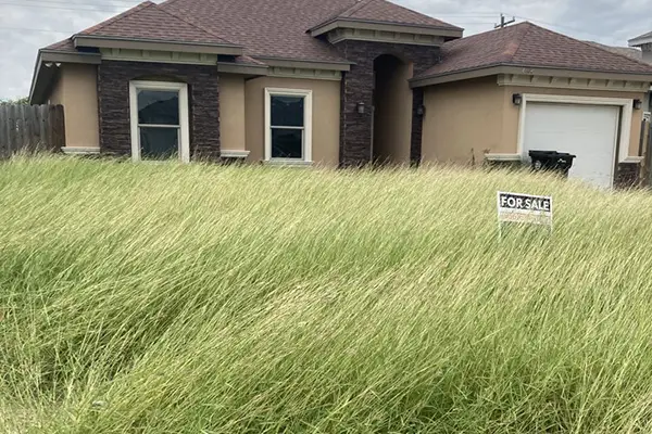 Lawn Maintenance Service